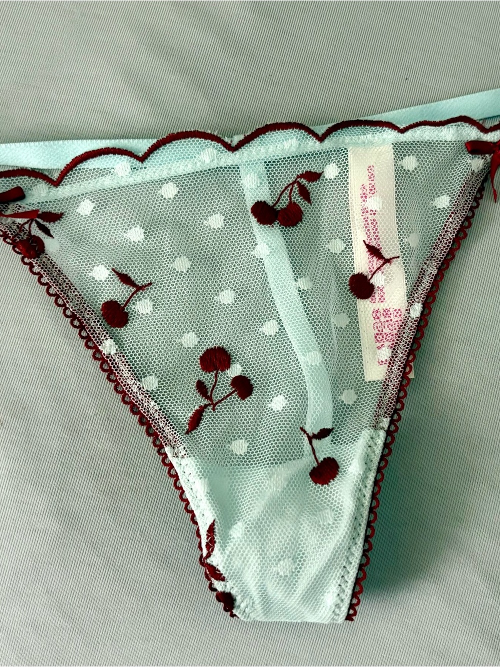 Sheer Cherry Embroidered Mesh Panty - Light Mint
